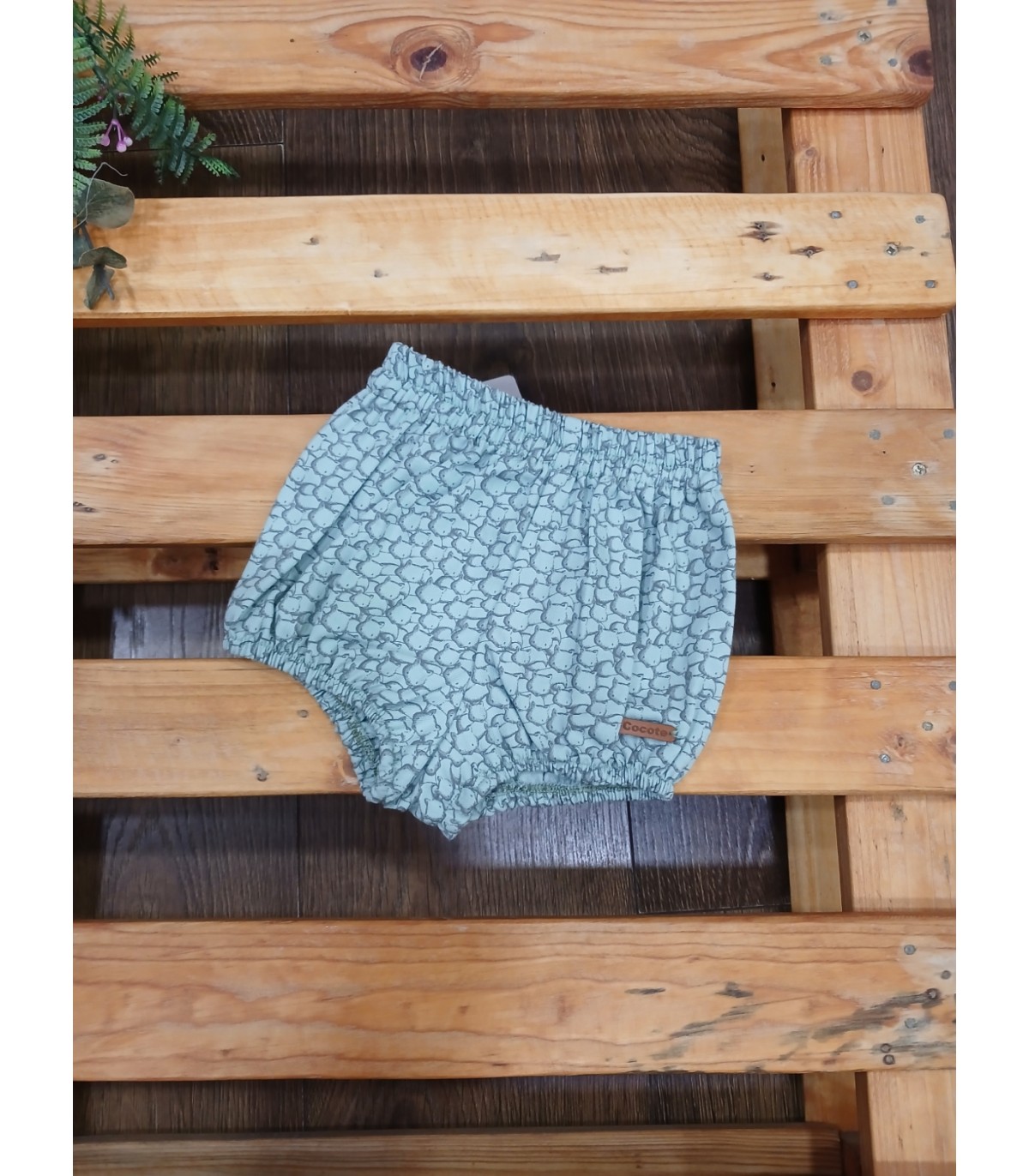 Ranita verde fox de Cocote | Ranita para niño o niña, ideal para co...